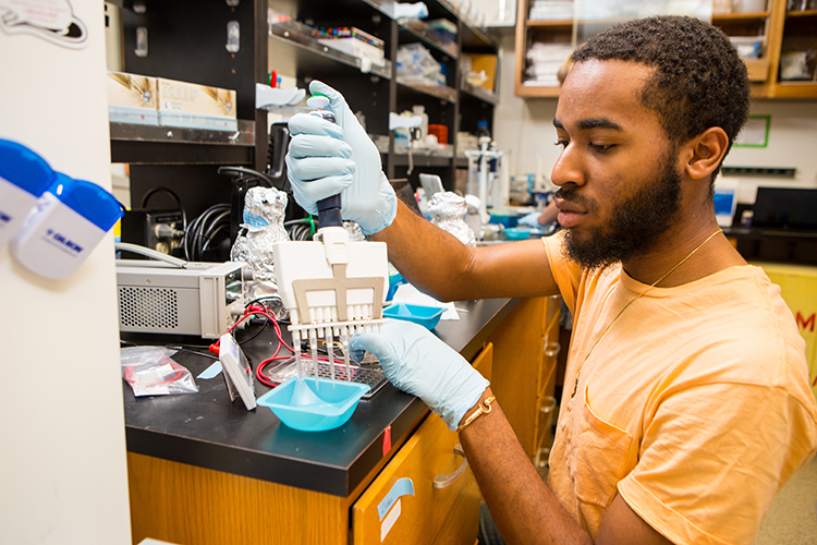 Jesse Woodbury, REU program participant, working in the lab
